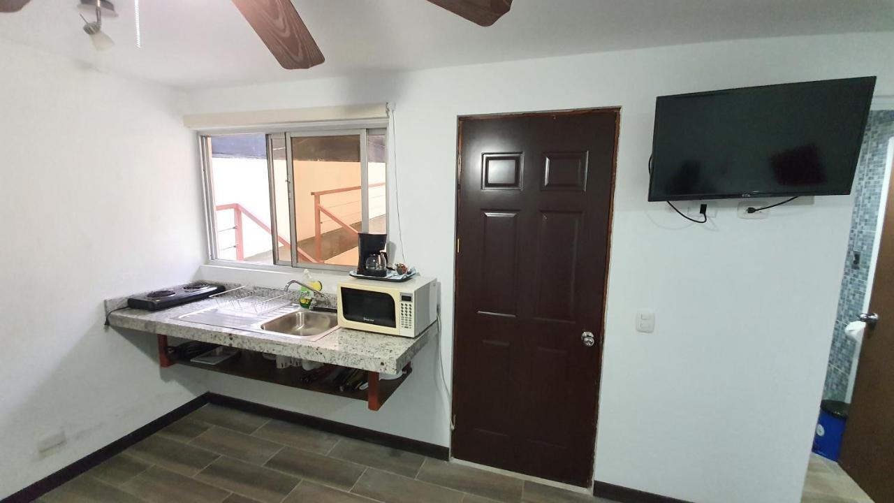 Estudio con vistas al jardín